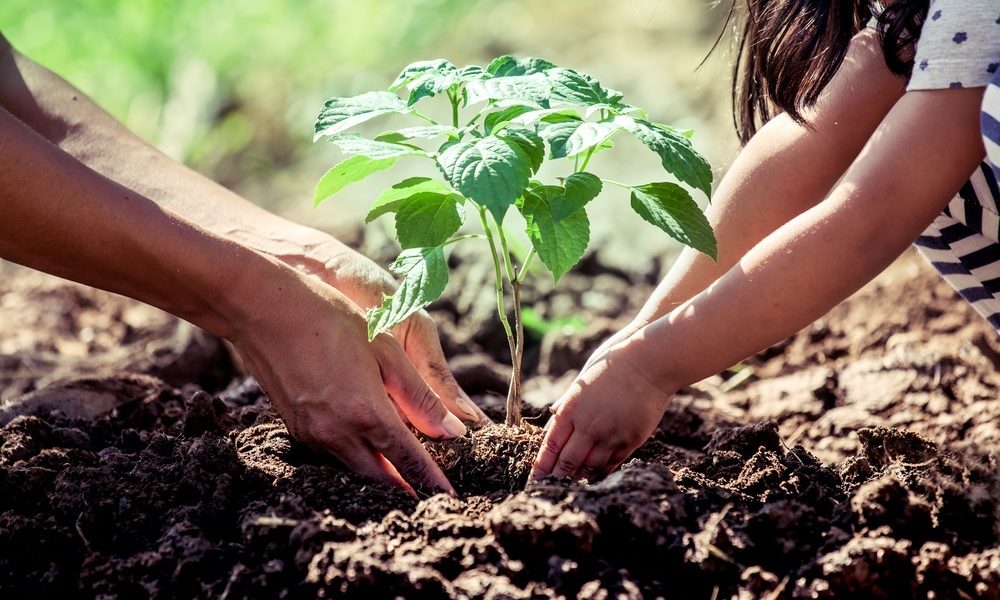 Bewustwording gezondheid in brede zin