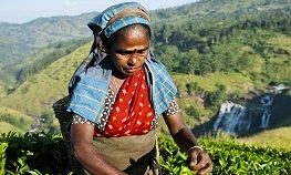 Microkredieten vrouwen Sri Lanka