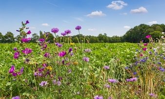 Gezondheid & natuurinclusieve landbouw