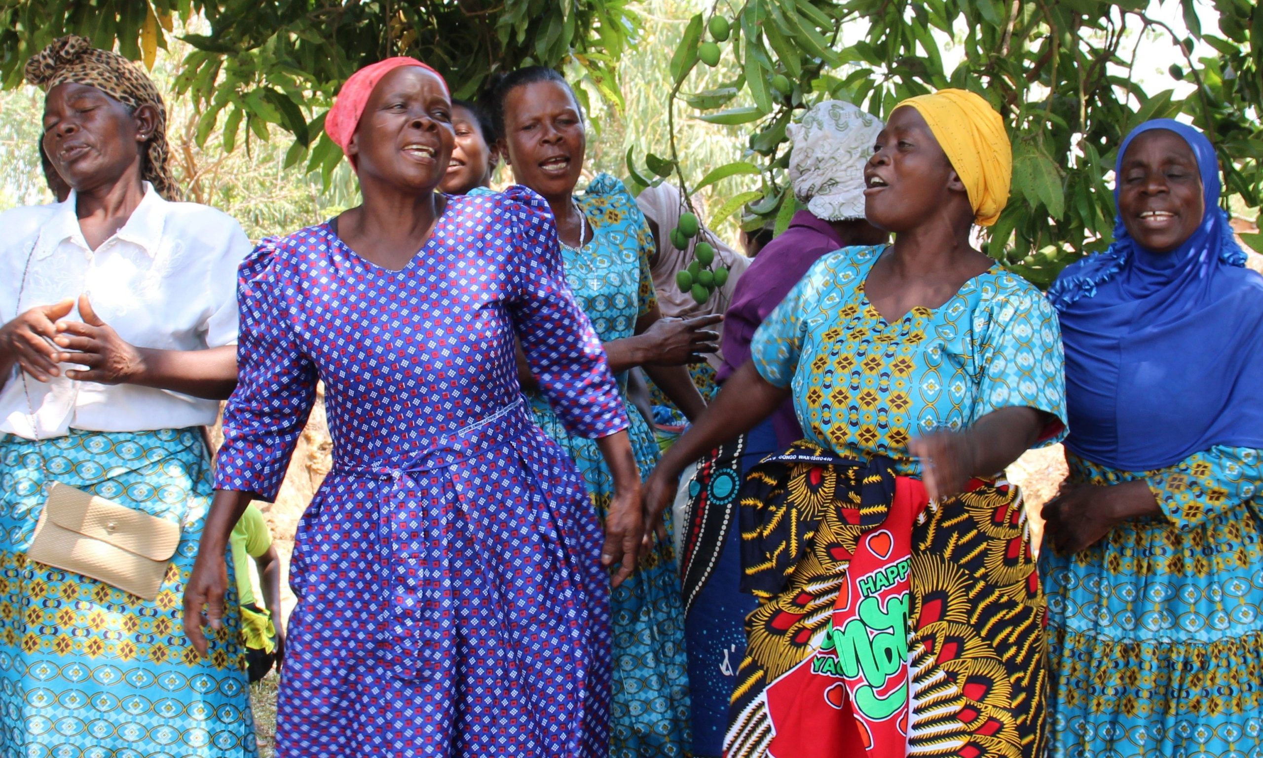 Verbetering voedselzekerheid Malawi 